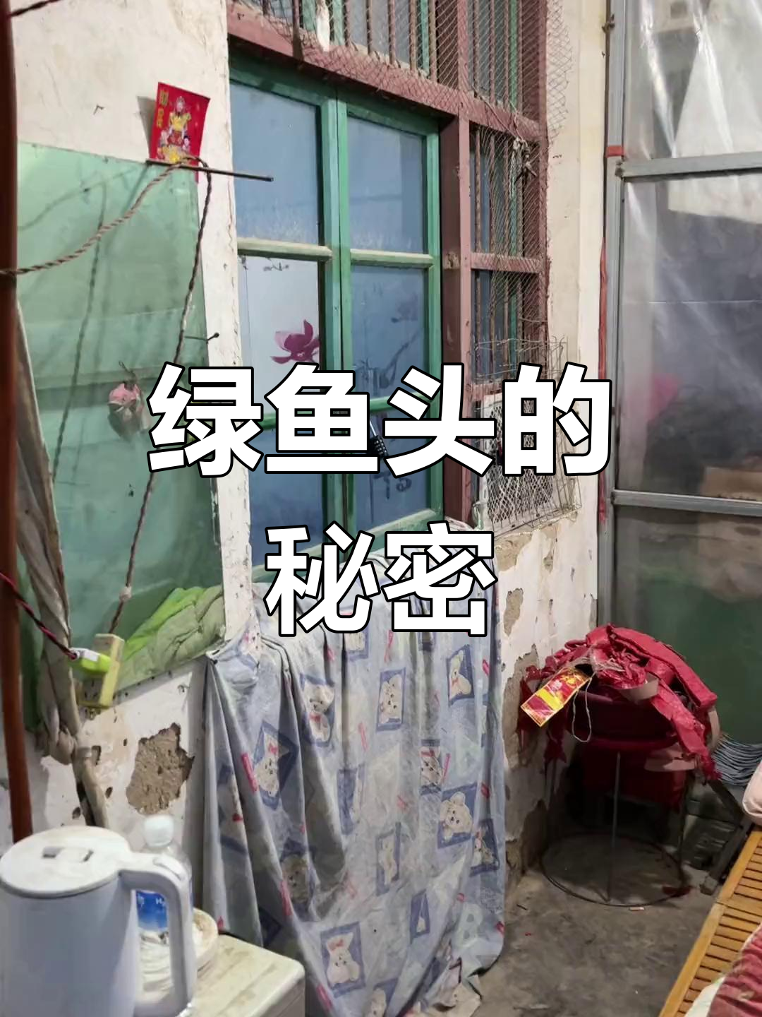 绿鱼头密码锁大揭秘，谁能解开这个谜题？
