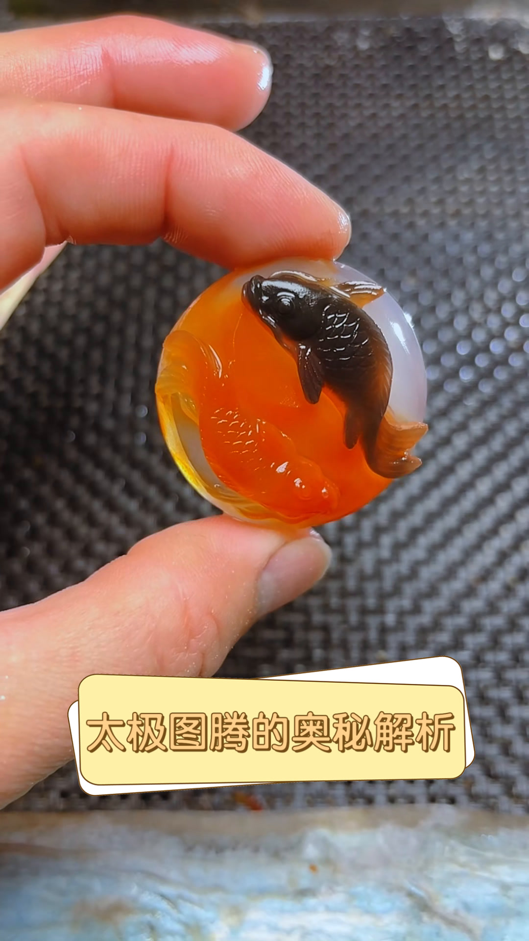 太极图腾的奥秘解析