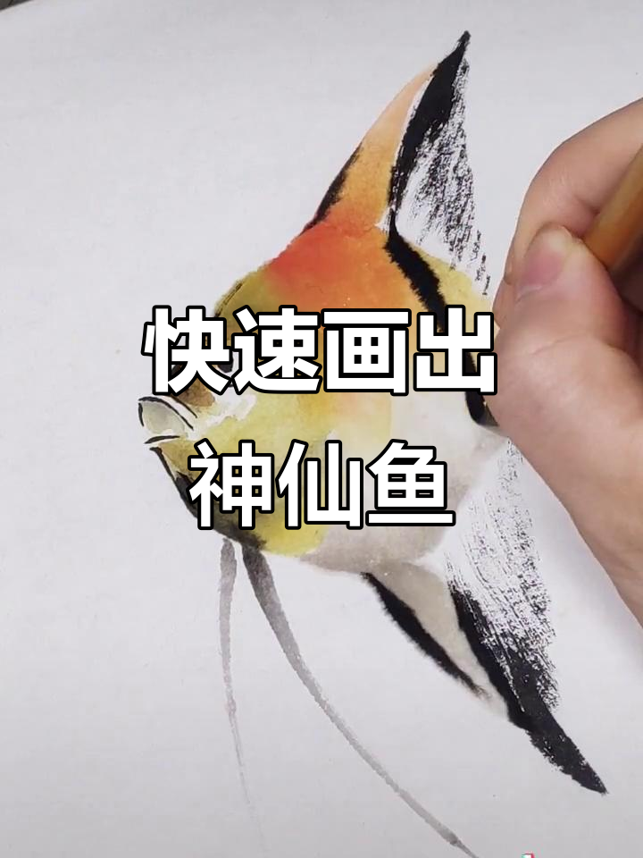 一分钟学会神仙鱼(燕鱼)国画技巧,零基础也能轻松上手
