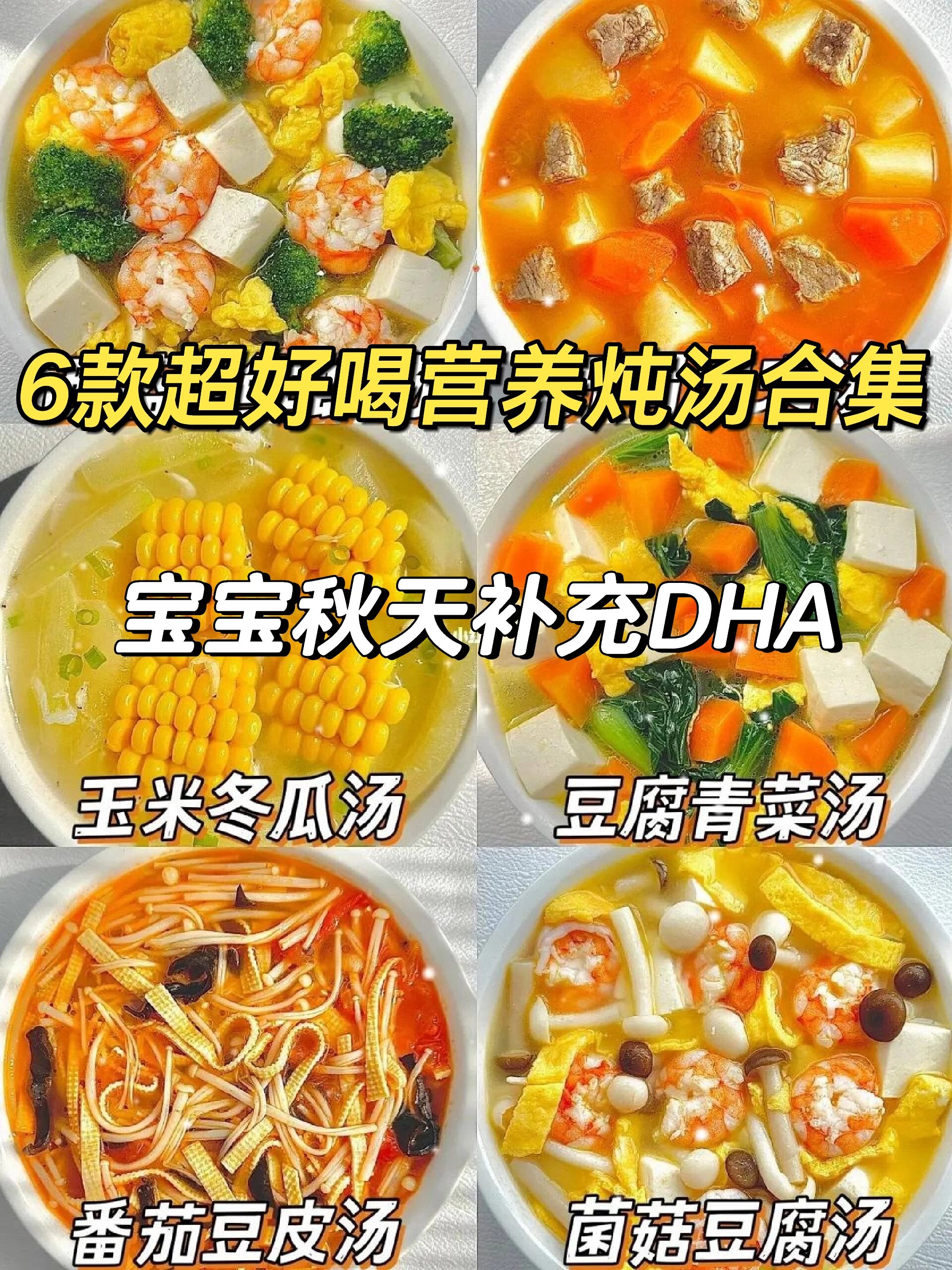 6款超好喝营养炖汤合集|简单易做|宝宝爱喝