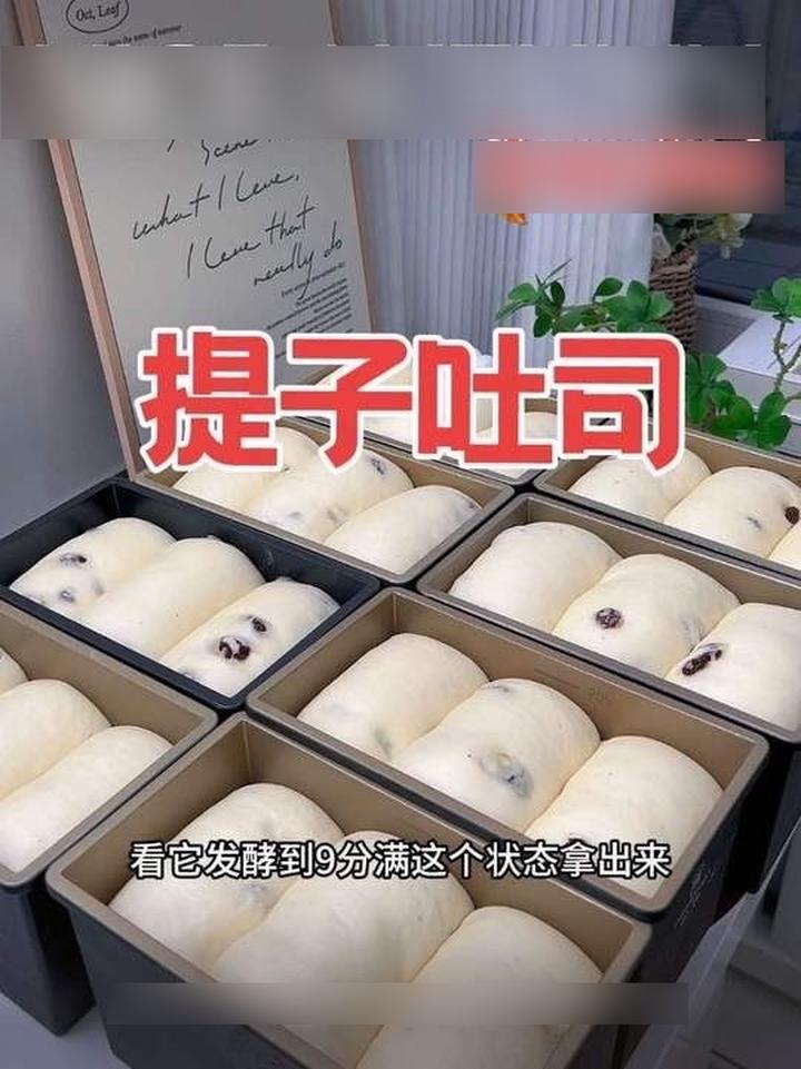 用牛奶液种做的提子吐司,超软超有弹性