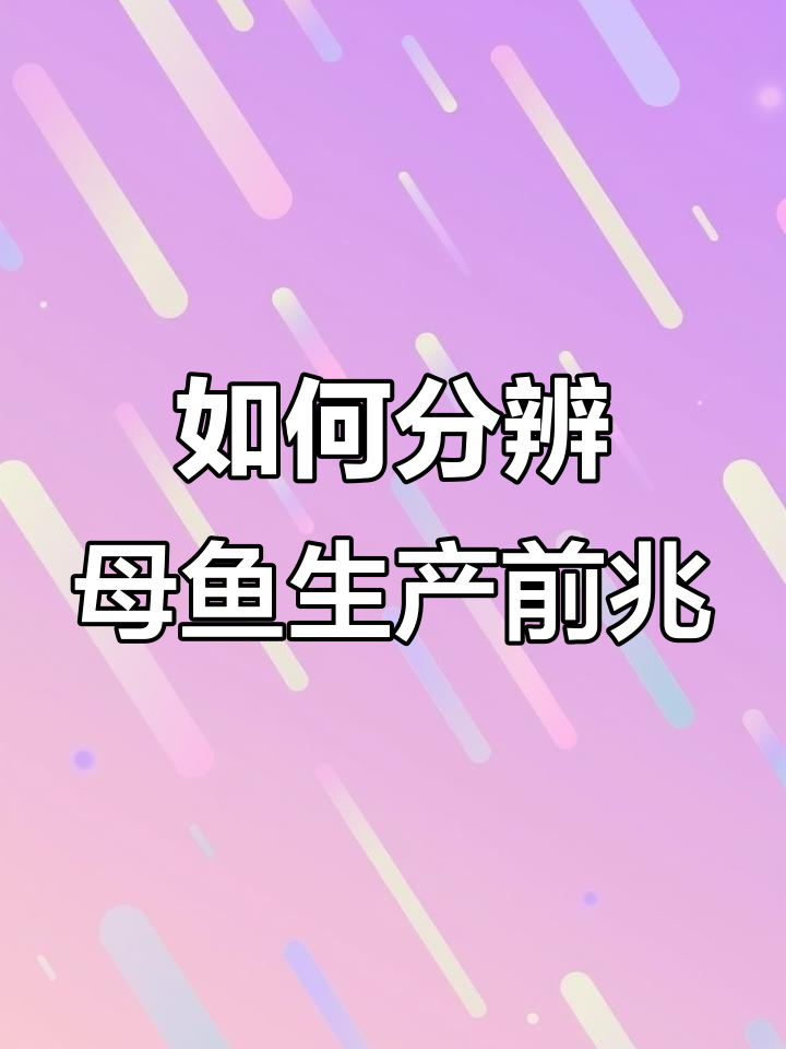 母鱼临产征兆,如何判断是否即将生小鱼?