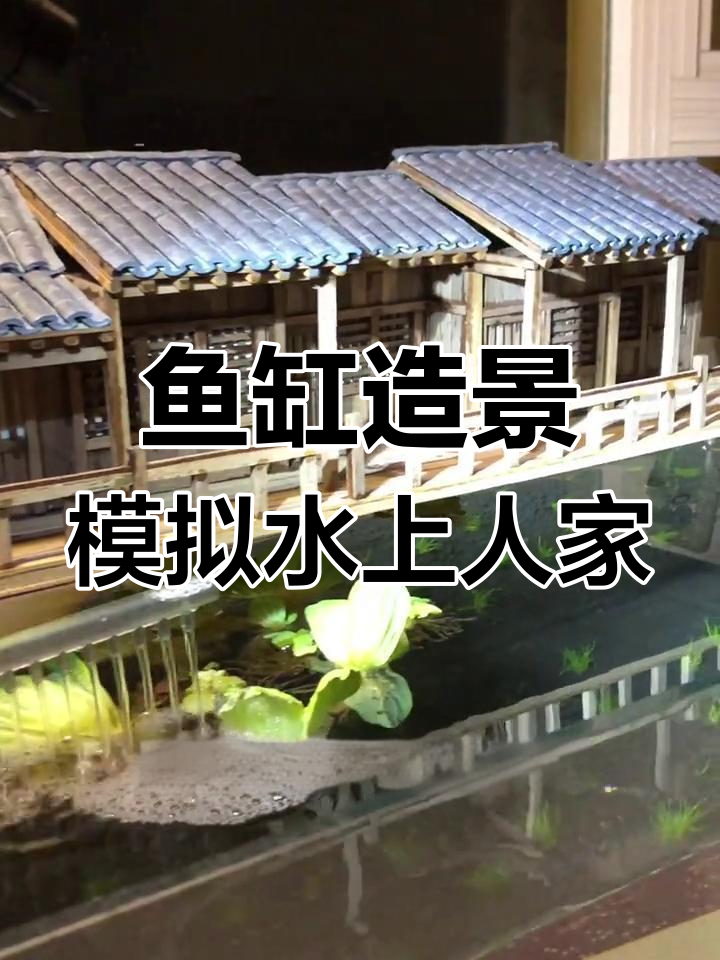 鱼缸造景打造江南水乡小屋,假山流水让人惊艳