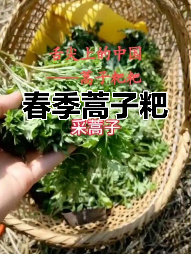 春日美味,蒿子粑粑带来大自然的清新口感!
