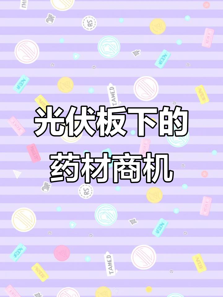 光伏板下药材丰盈,云县打造“板下经济”新模式