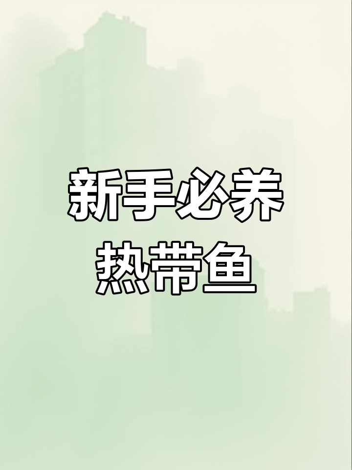 适合新手养的热带鱼,蓝曼龙轻松上手