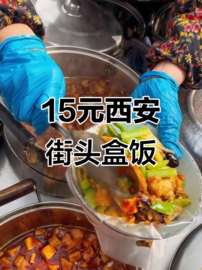 西安街头15元盒饭,肉菜俱全,超值美味不容错过