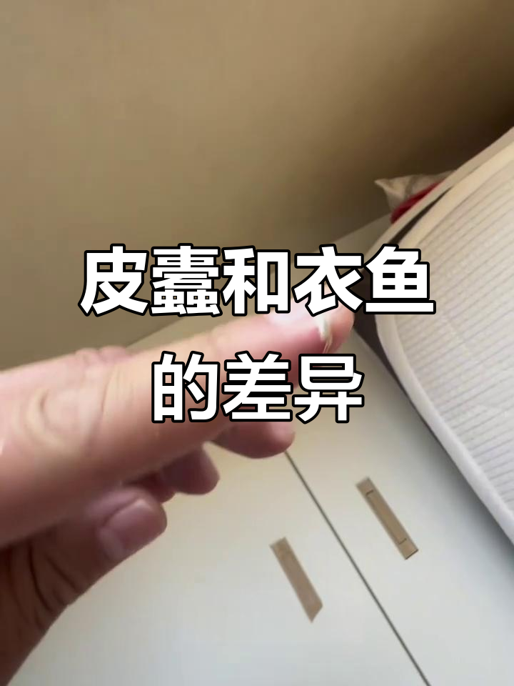 皮蠹与衣鱼虫的区别:如何防治这两种常见害虫