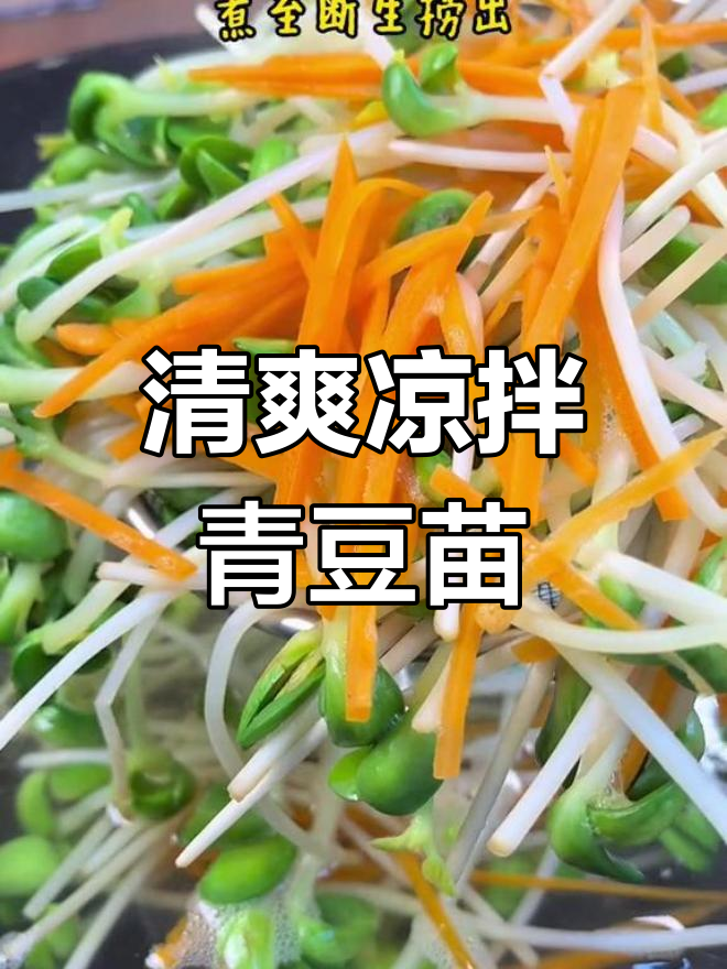 夏日必备凉拌青豆苗,清爽又开胃