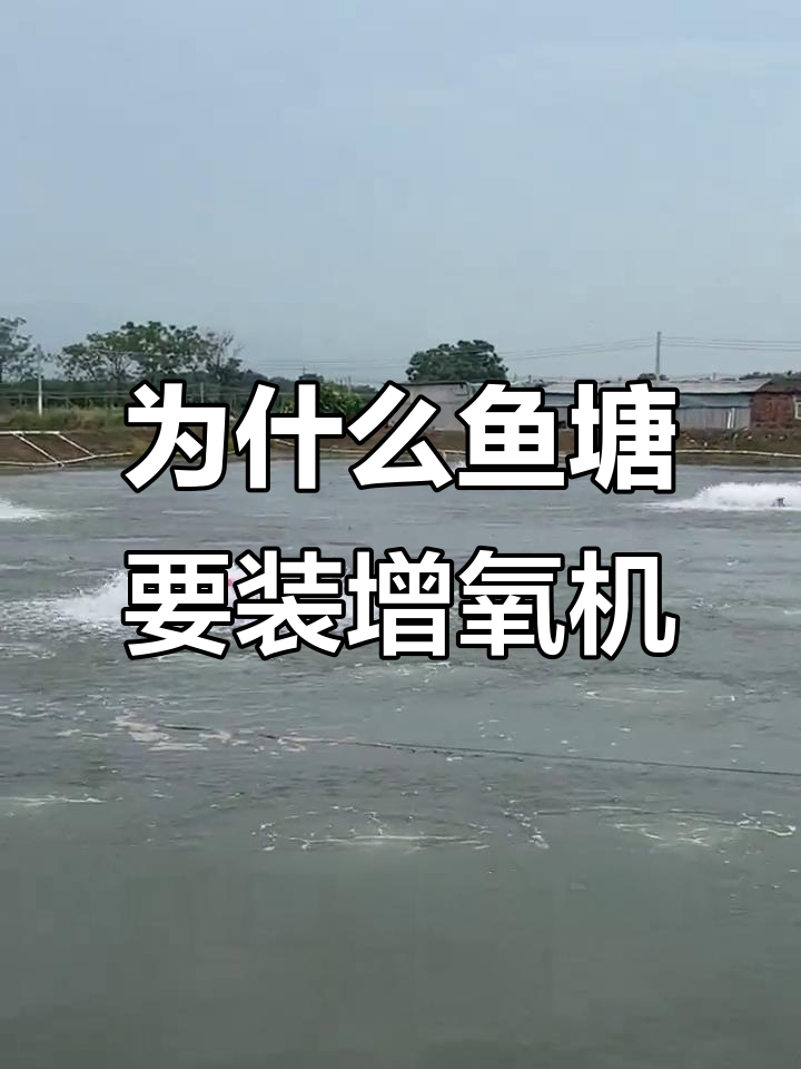 鱼塘增氧机到底有啥用？水质稳定才是关键