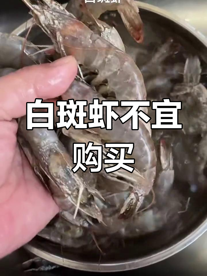 买虾时要注意,白斑虾可能不新鲜