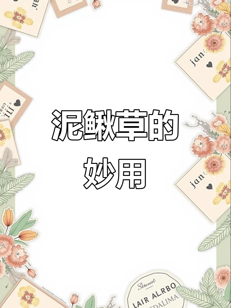 泥鳅草能止血清火,春季嫩叶凉拌美味又健康