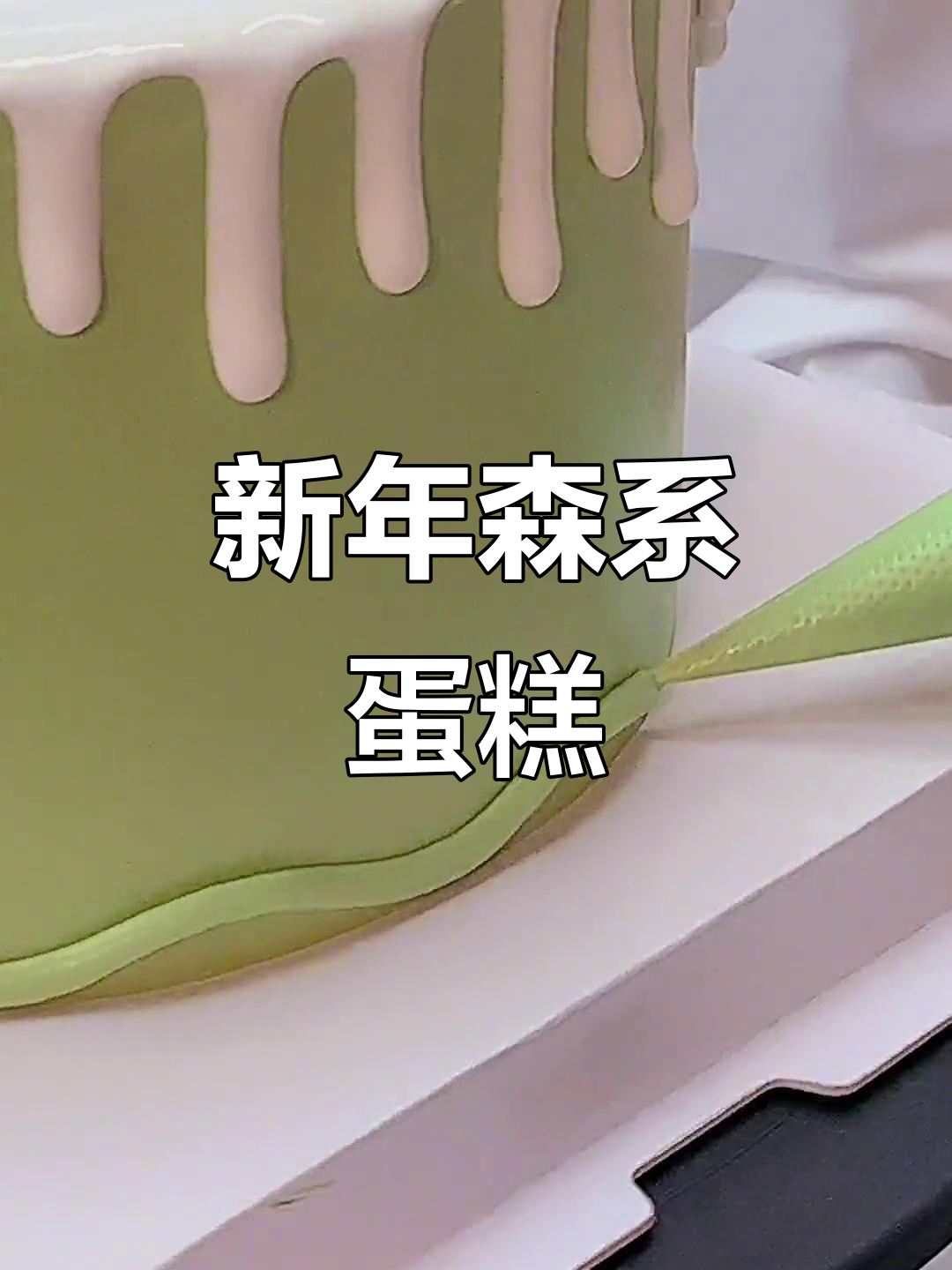 2023新年森系蛋糕，带你进入自然与甜蜜的完美结合