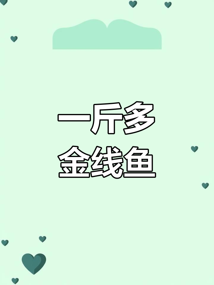 三亚金线鱼,超大海鲜礼品