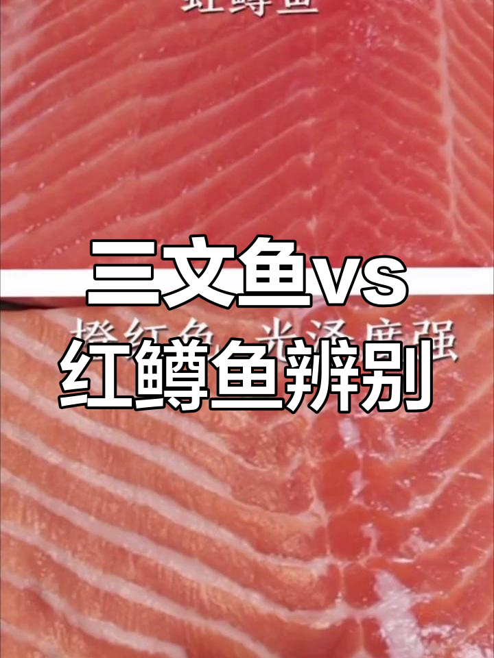 如何区分三文鱼与虹鳟鱼的外观和口感