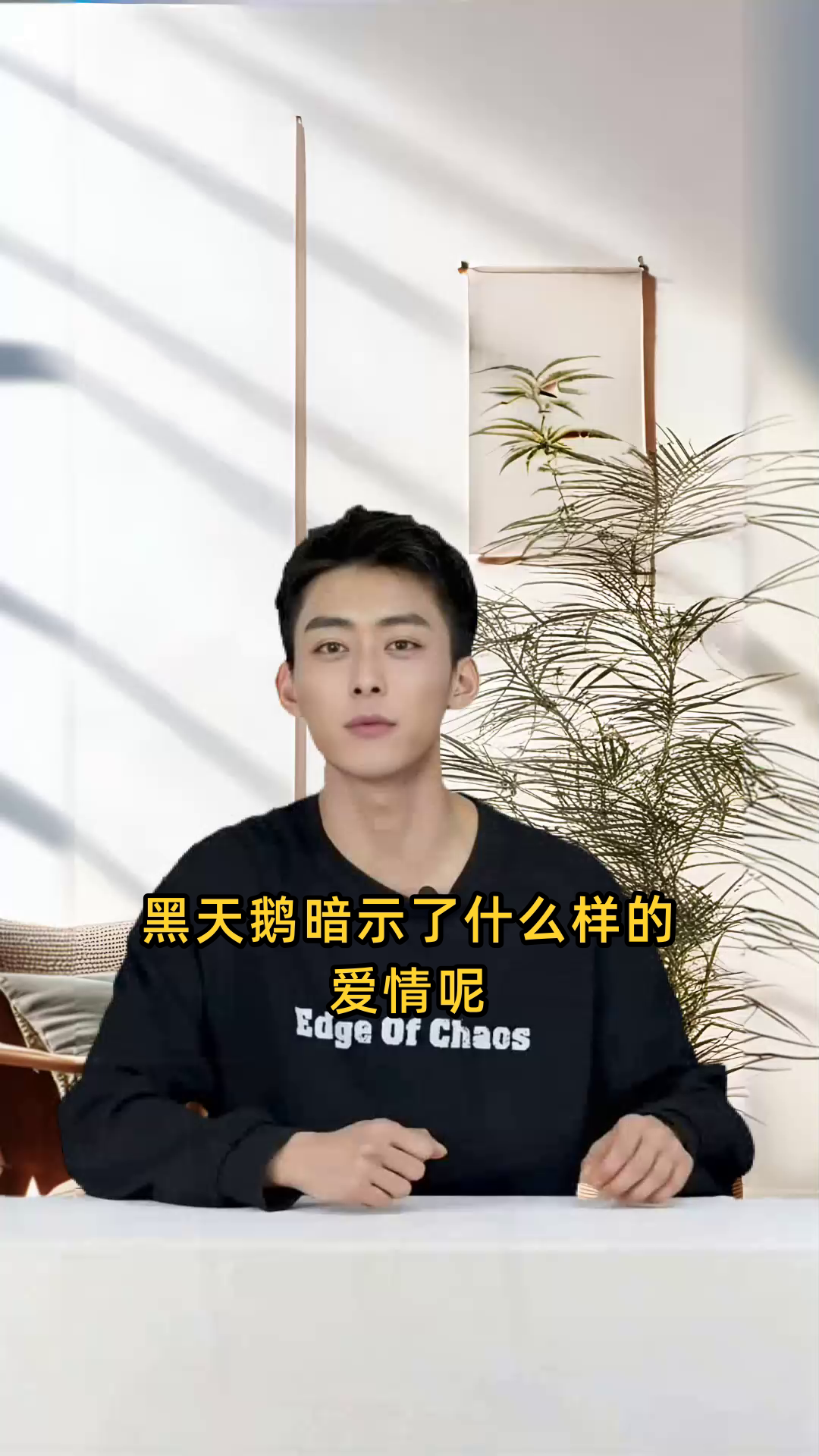 黑天鹅暗示了什么爱情