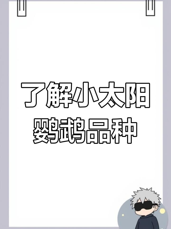 小太阳鹦鹉品种大揭秘,稀有蓝化小太阳你见过吗?