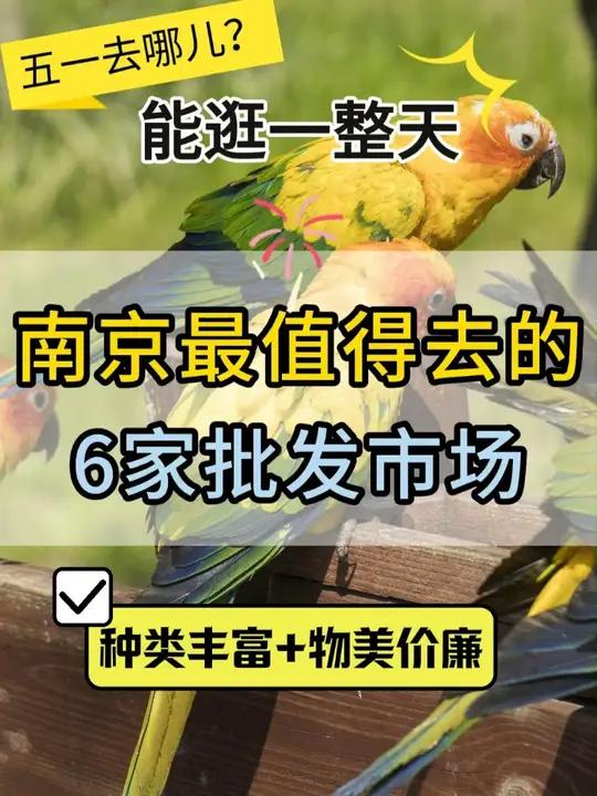 南京最值得去的6个批发市场!快收藏起来!空闲时候可以去逛逛~