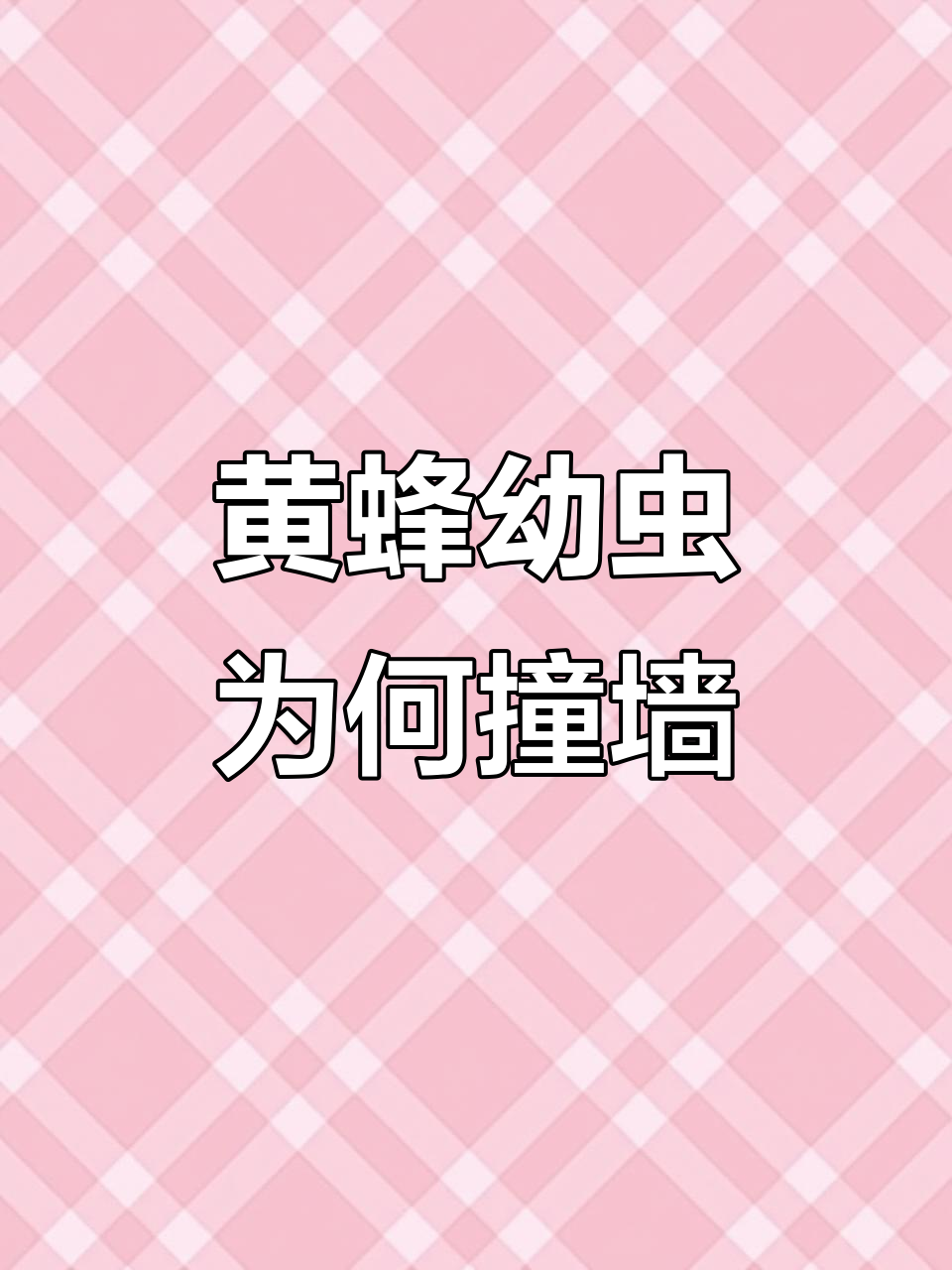 黄蜂幼虫头撞墙,竟是为了这个原因!