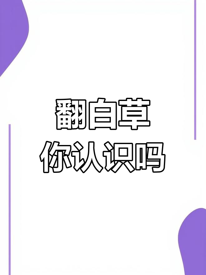 你见过这种“鸡爪草”吗?翻白草的独特魅力揭秘