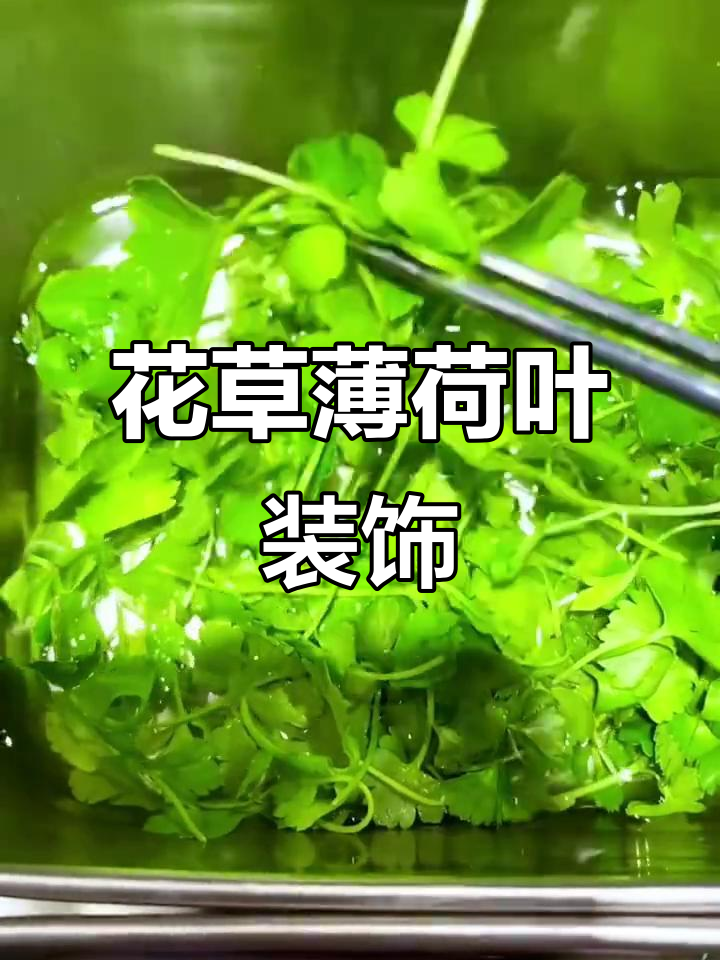 韩式花草装饰技巧,冷菜热菜必备盘饰元素
