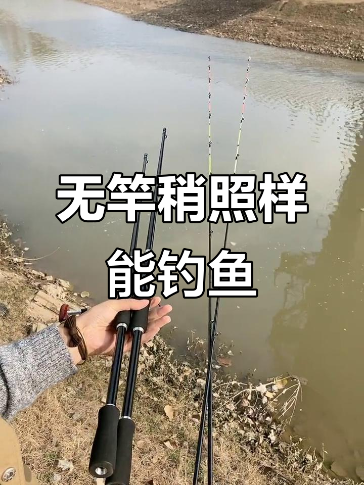 没有竿梢也能钓鱼?这款暗筏竿让你轻松钓鲫鲤黄辣丁