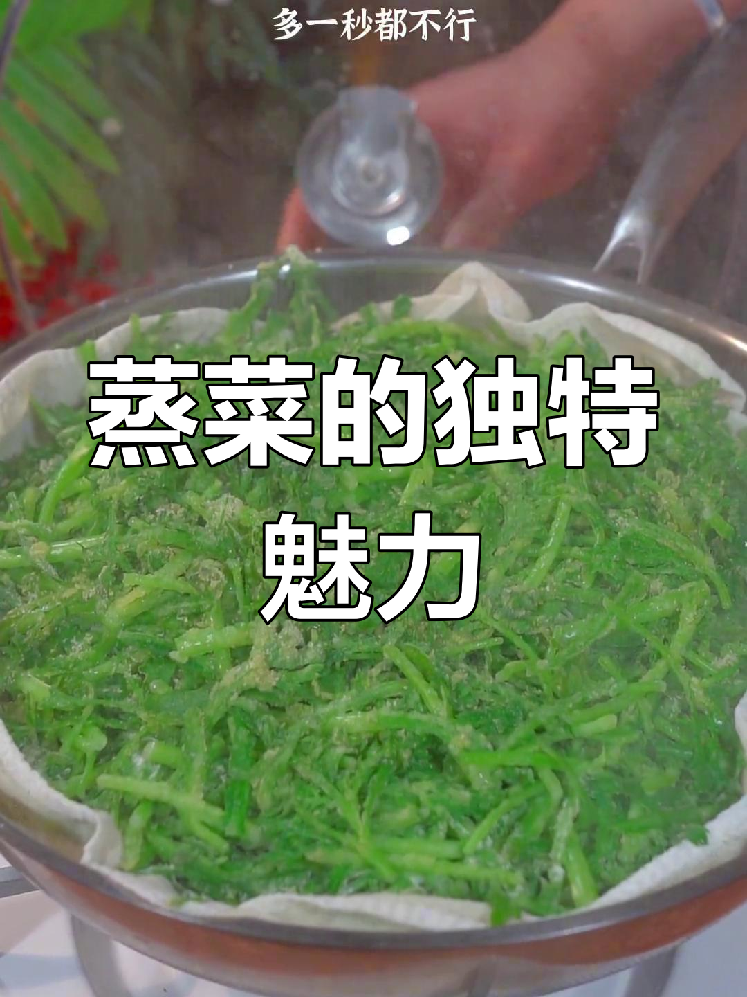 河南蒸菜,翠绿不粘,蒜泥汁拌一拌,香气扑鼻!