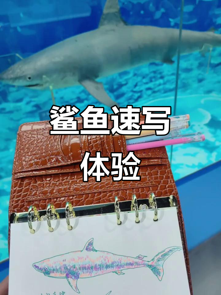 广西自然博物馆鲨鱼速写,人民公园现场创作