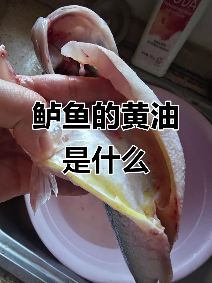 鲈鱼肚子里的黄色油,是正常脂肪还是其他原因?
