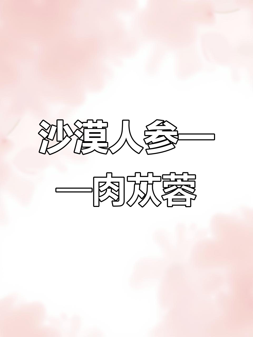 沙漠中的宝贝:肉苁蓉,千年药材的秘密