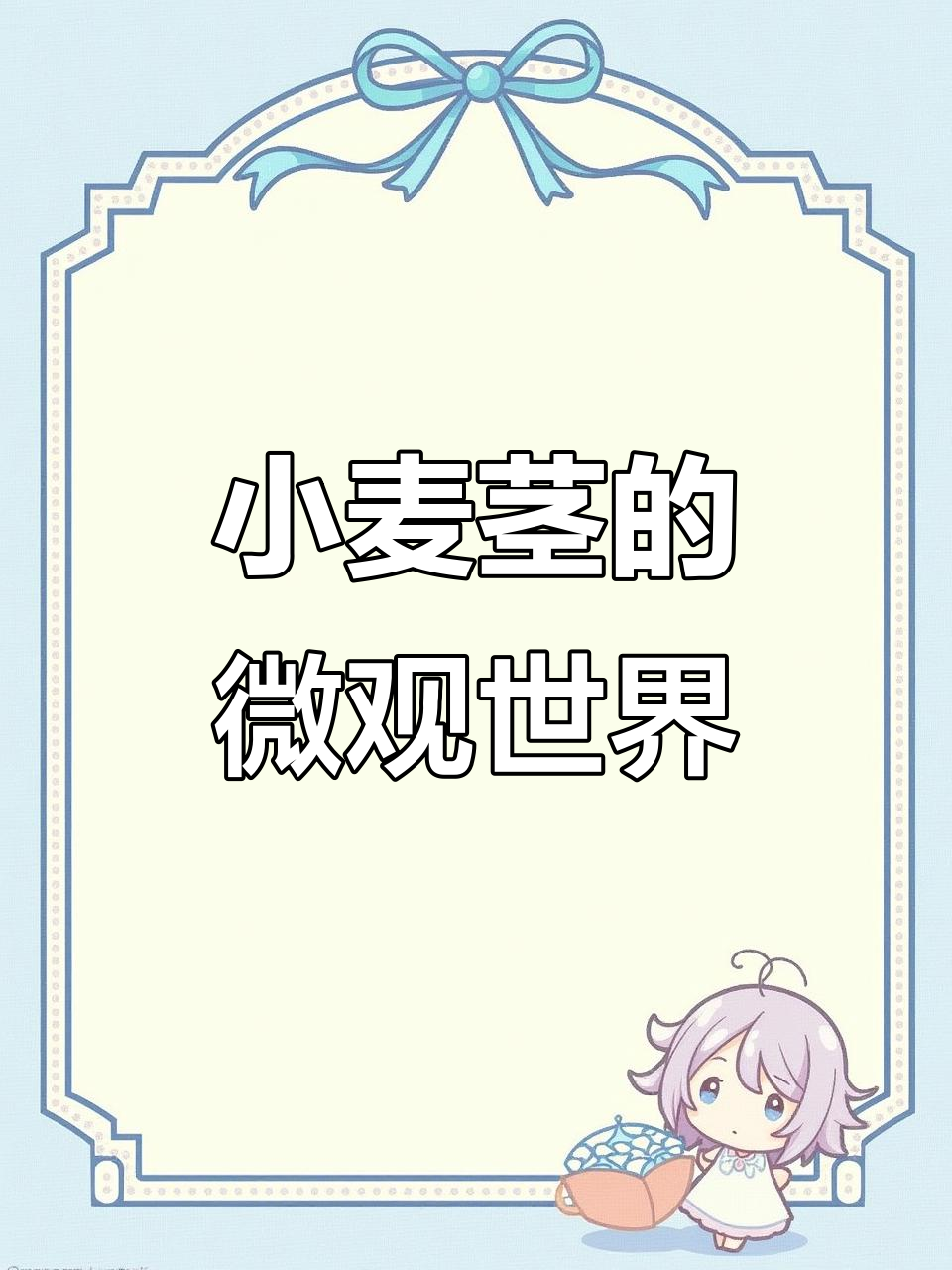 显微镜下的小麦茎横切,揭示生命的奇妙结构
