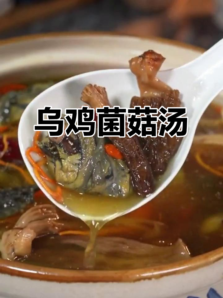 冬季暖心乌鸡汤，滋补又美味，做法超简单