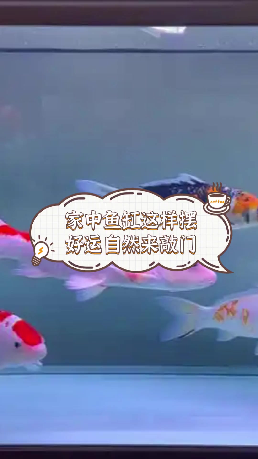 家中鱼缸这样摆,好运自然来敲门
