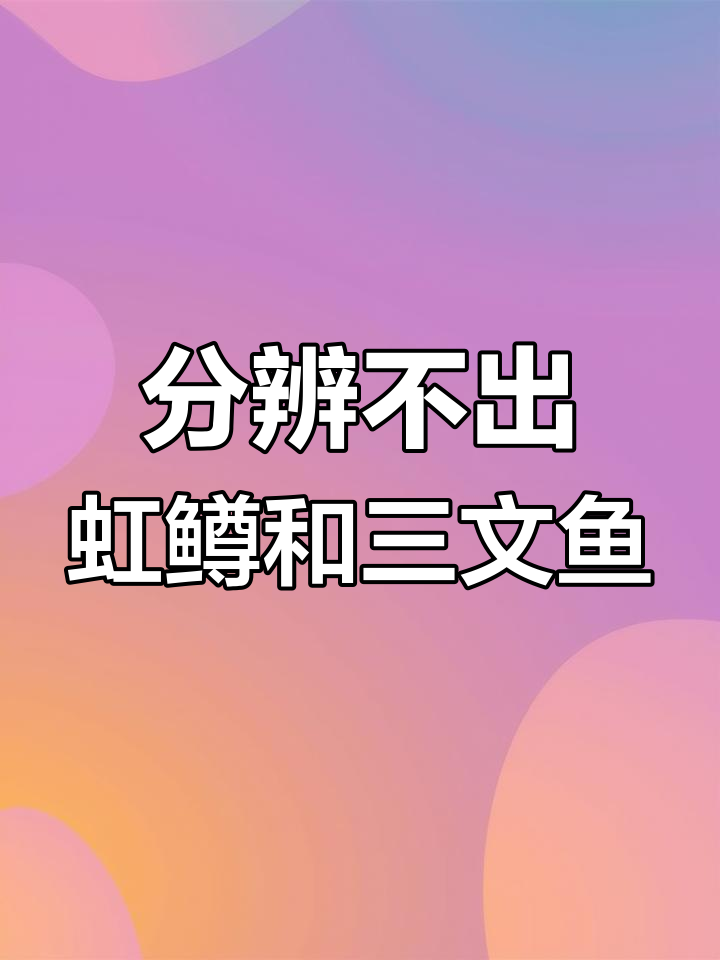 三倍体虹鳟与三文鱼,肉眼难辨真假