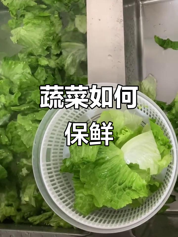 如何保存蔬菜新鲜,避免损耗?生菜保鲜技巧大公开