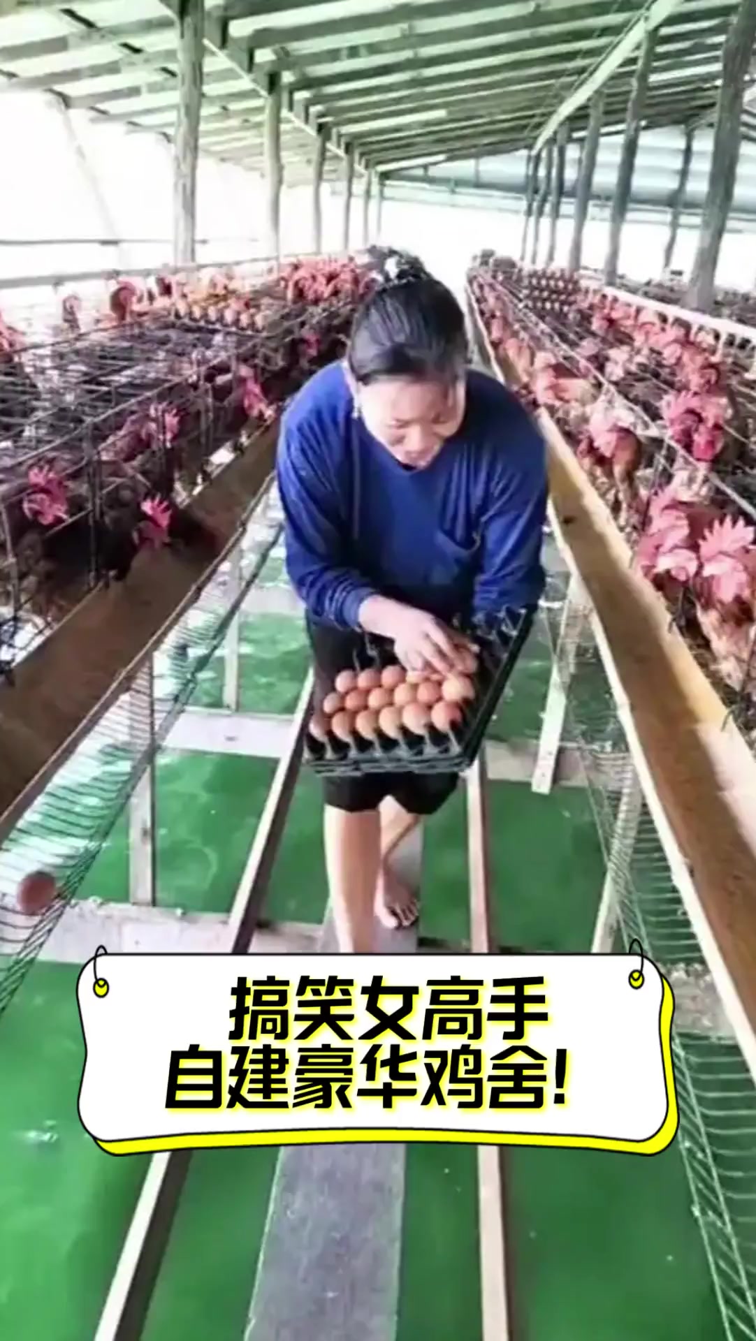 搞笑女高手,自建豪华鸡舍!