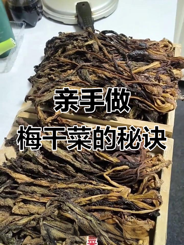 自制梅干菜,三蒸五晒的独特做法