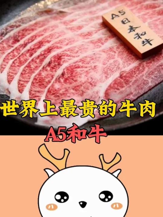 世界上最贵的牛肉,A5和牛