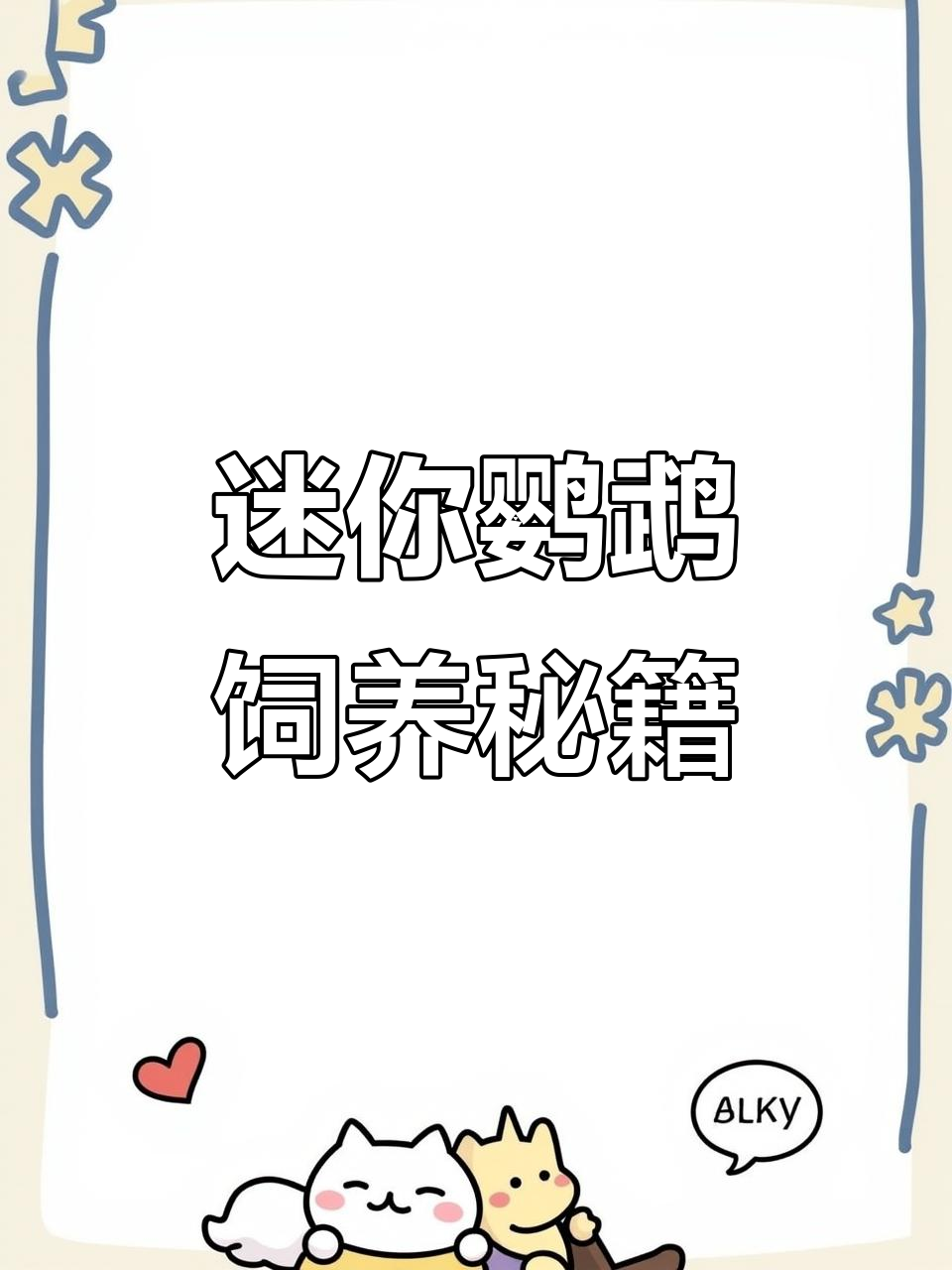 迷你鹦鹉养殖技巧:从喂食到起飞全攻略