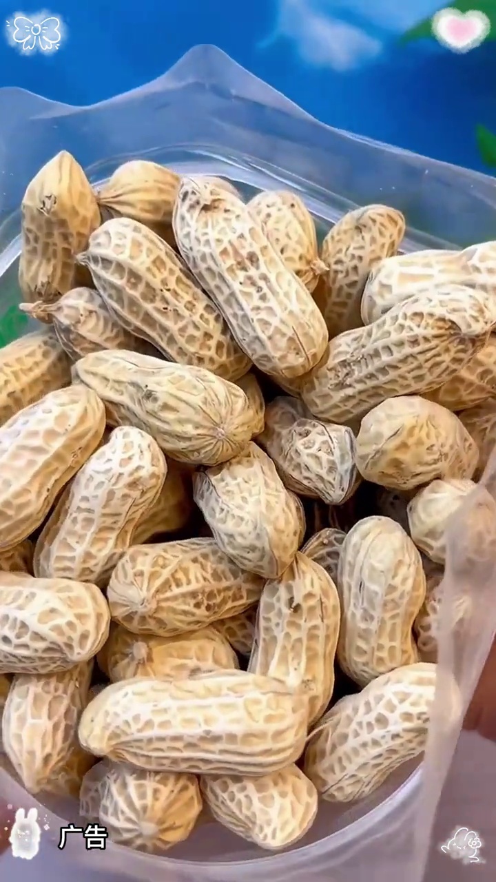 「2025年新水煮」水煮日晒花生精选龙岩花生原味花生花生米零食特产