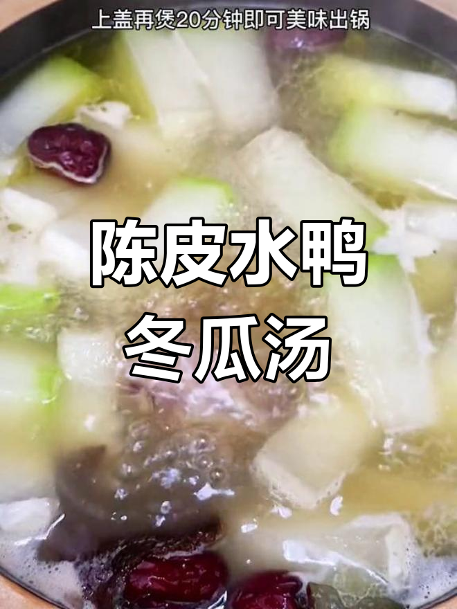 冬瓜陈皮水鸭汤,广东经典美味