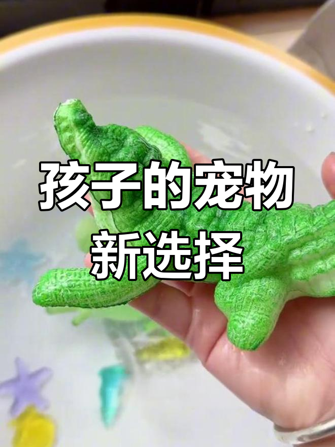 孩子的新宠:水宝宝、大鳄鱼和青蛙,养起来超有趣!