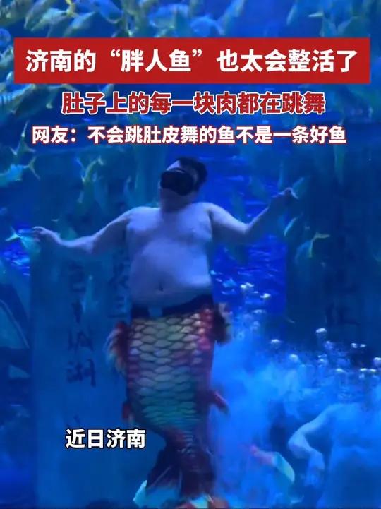济南的“胖人鱼”太会整活了,肚子上的每一块肉都在跳舞,网友:不会跳肚皮舞的鱼不是一条好鱼(