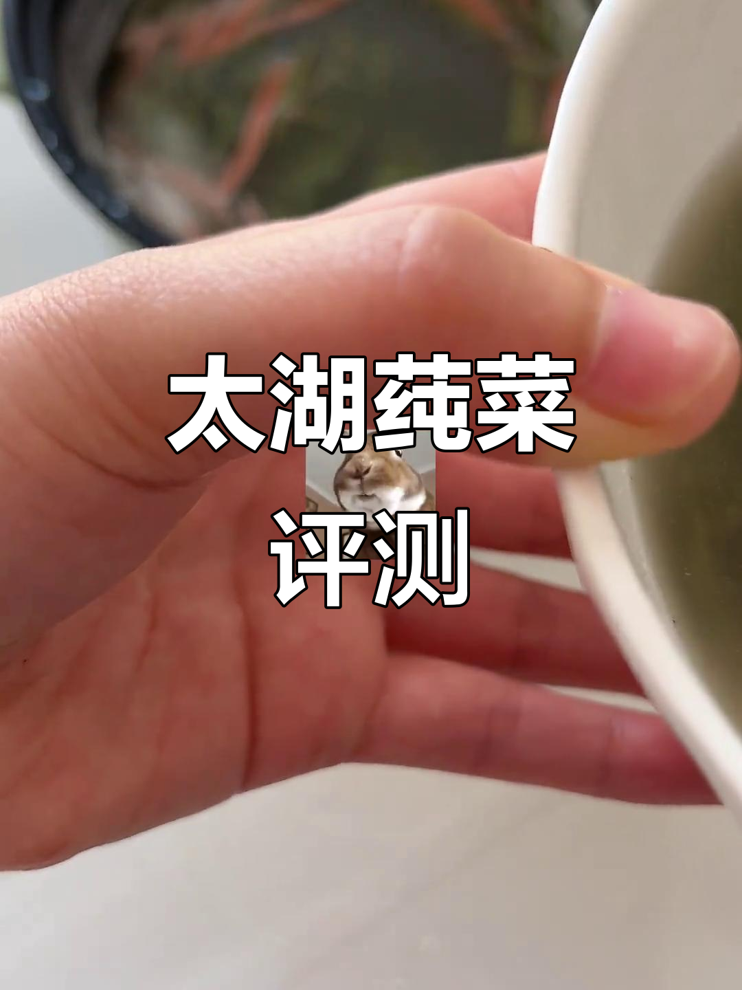 苏州太湖莼菜测评:嫩芽胶织,营养满满