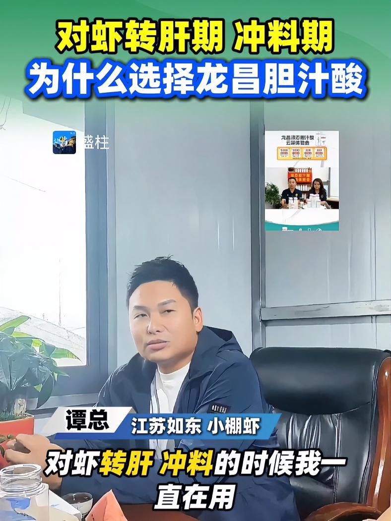 对虾转肝期、冲料期,为什么选择龙昌胆汁酸?小棚虾养殖 对虾保肝 龙昌液态胆汁酸 龙昌动保旗