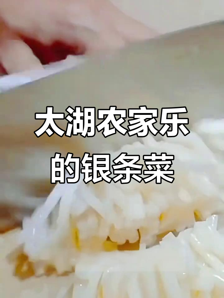 苏州太湖农家乐的银条菜,竟然这么好吃!