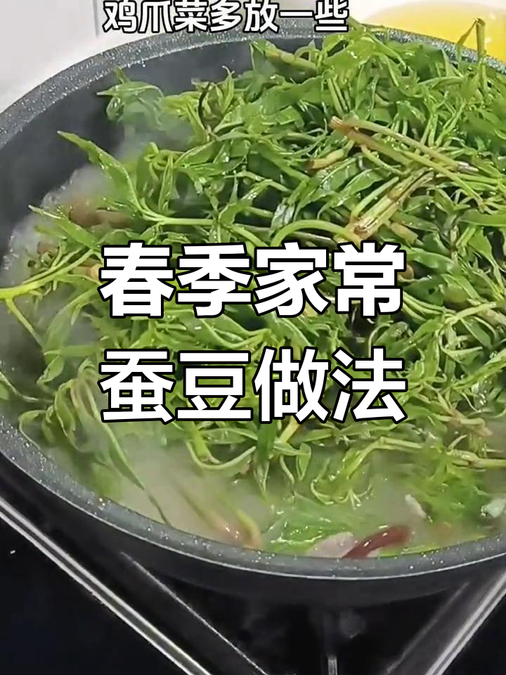 春天野菜大集合,尝鲜必备