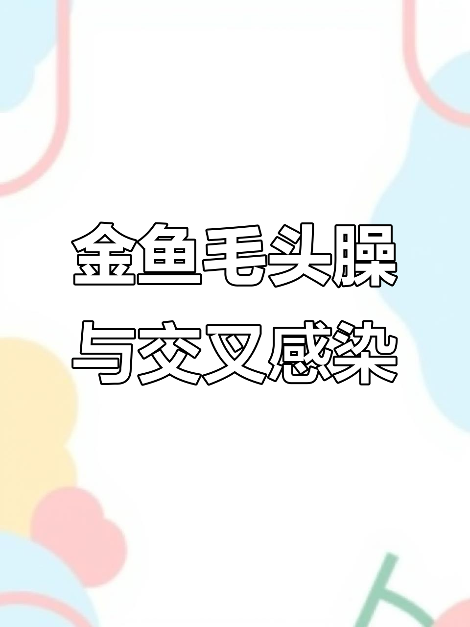 2024年9月10日兰寿金鱼交叉感染治疗全记录
