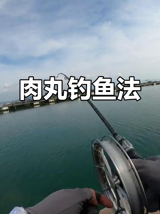 漳浦肉丸钓鱼新发现,海钓也能用