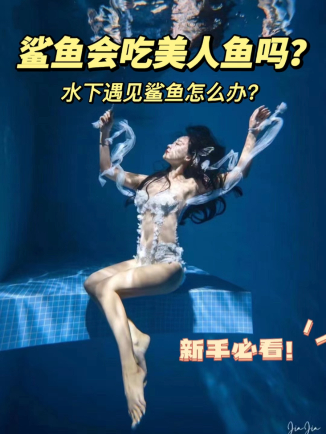 鲨鱼会吃美人鱼!?